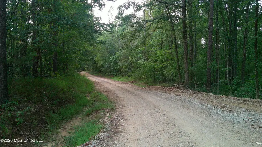 County Road 414, Falkner, MS 38629 - #3