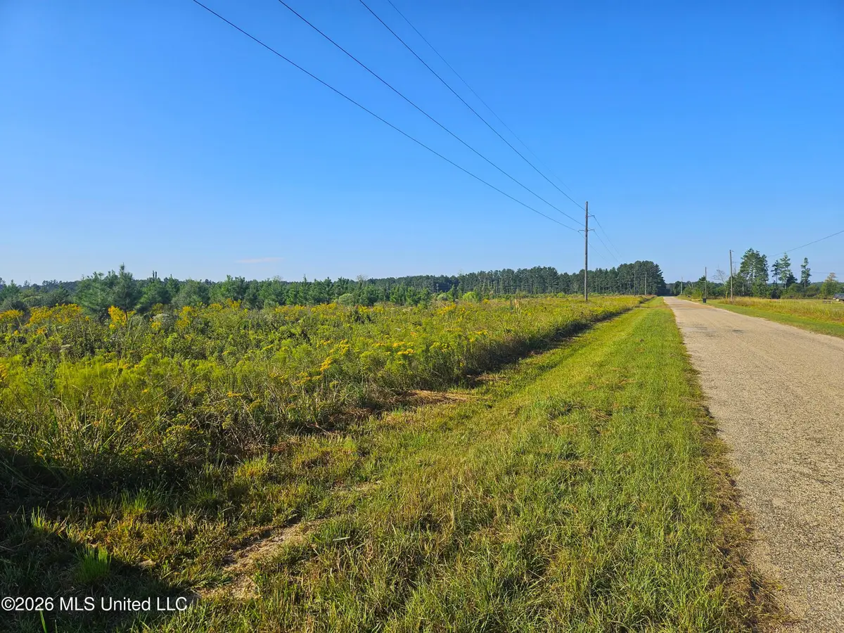 Rogers Road, Columbia, MS 39429 - #1