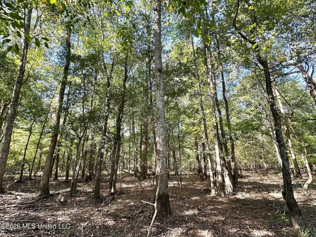 6 Evans Road, Carthage, MS 39051 - #1
