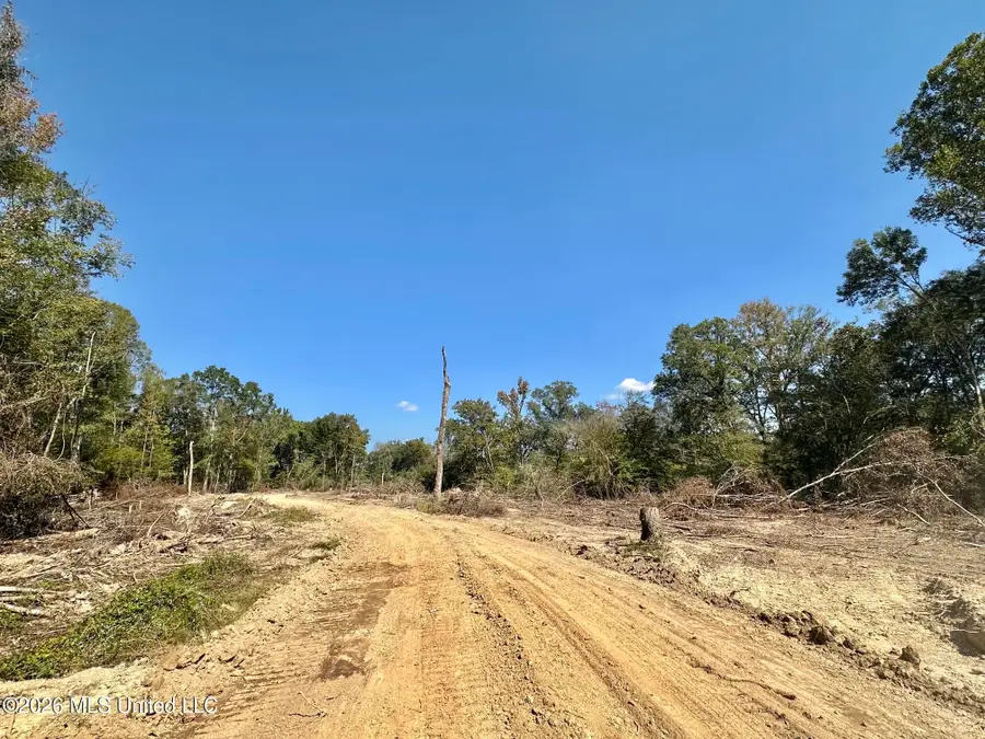 7 Evans Road, Carthage, MS 39051 - #2