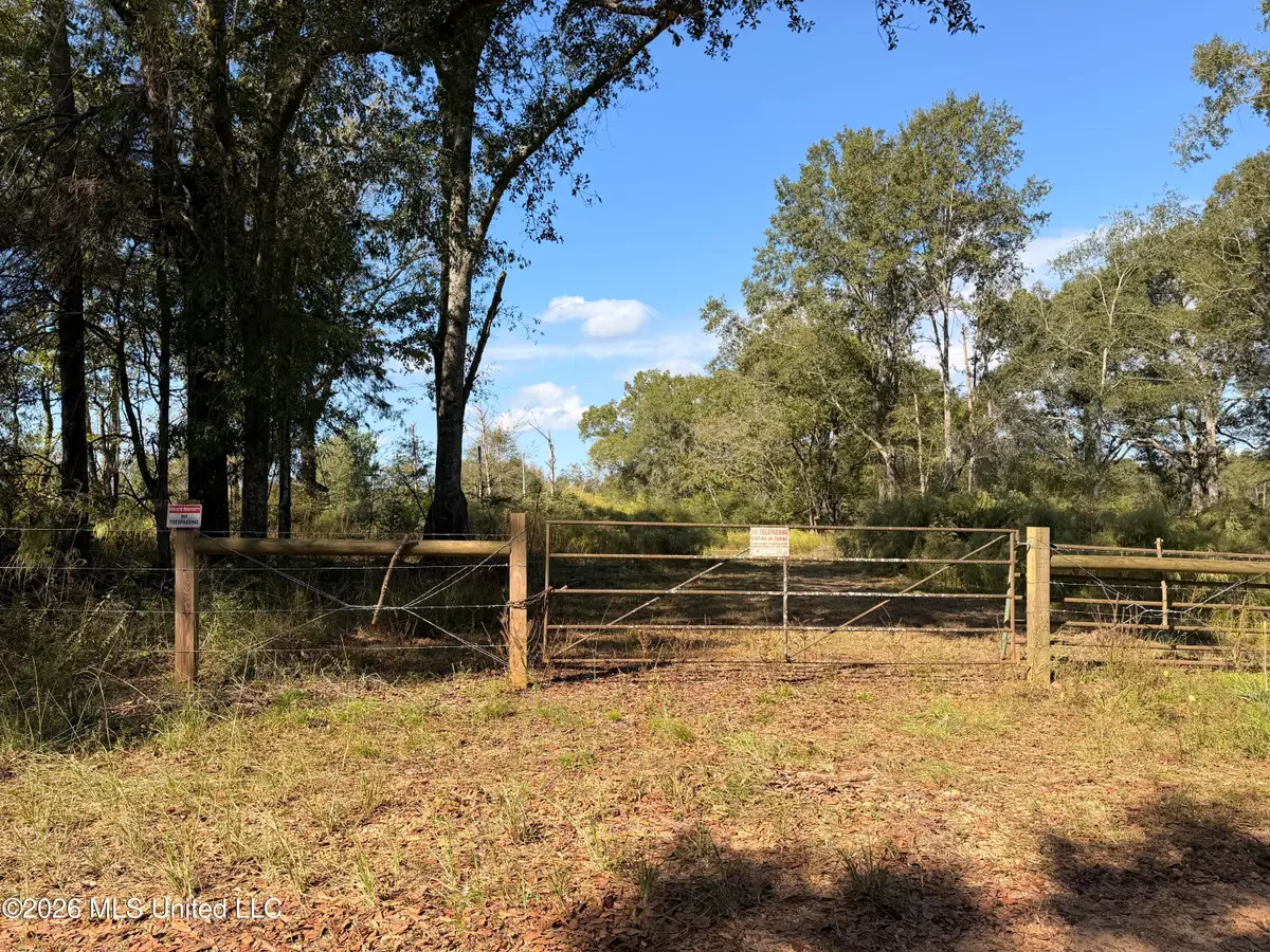 Peterson Lane, Smithdale, MS 39664 - #1