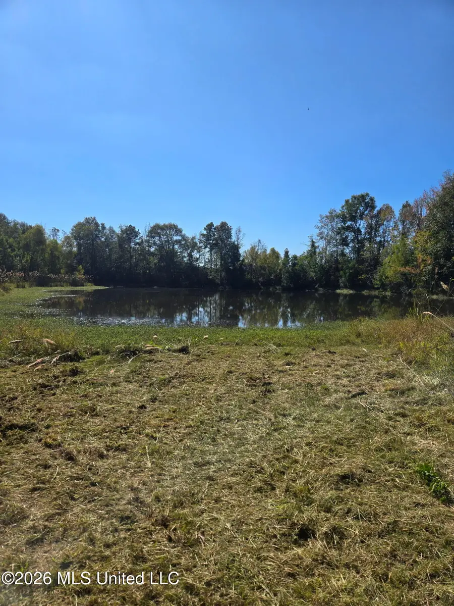 Peterson Lane, Smithdale, MS 39664 - #2