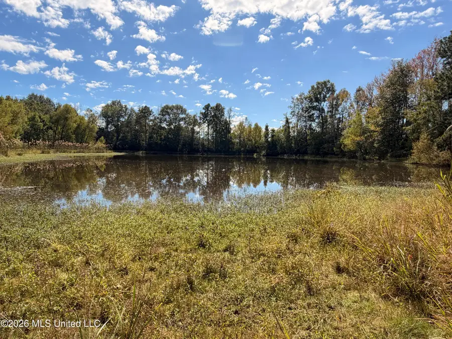 Peterson Lane, Smithdale, MS 39664 - #3