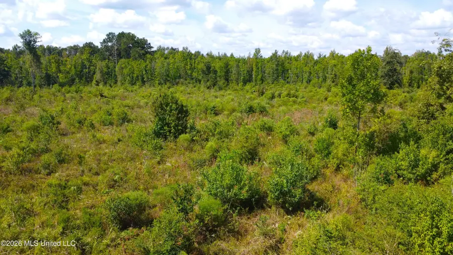Rogers Road, Columbia, MS 39429 - #2