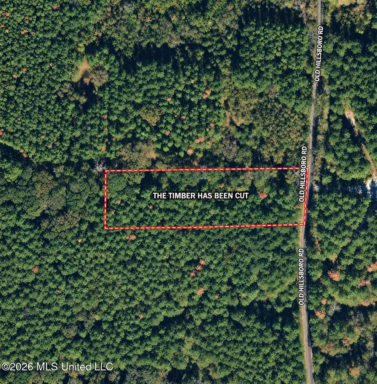 Pettey Road, Forest, MS 39074 - #1