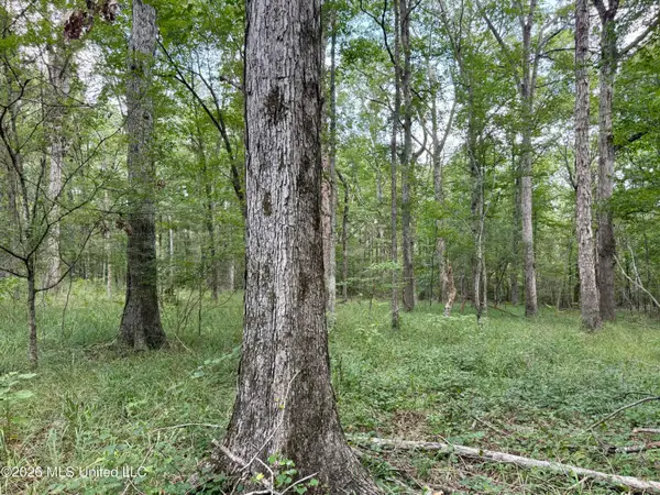 0001 Hwy 17, Camden, MS 39045