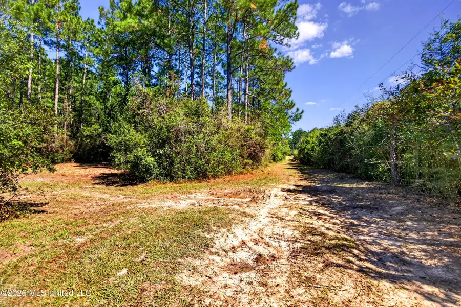 13501 Ridgeland Road, Vancleave, MS 39565 - #2