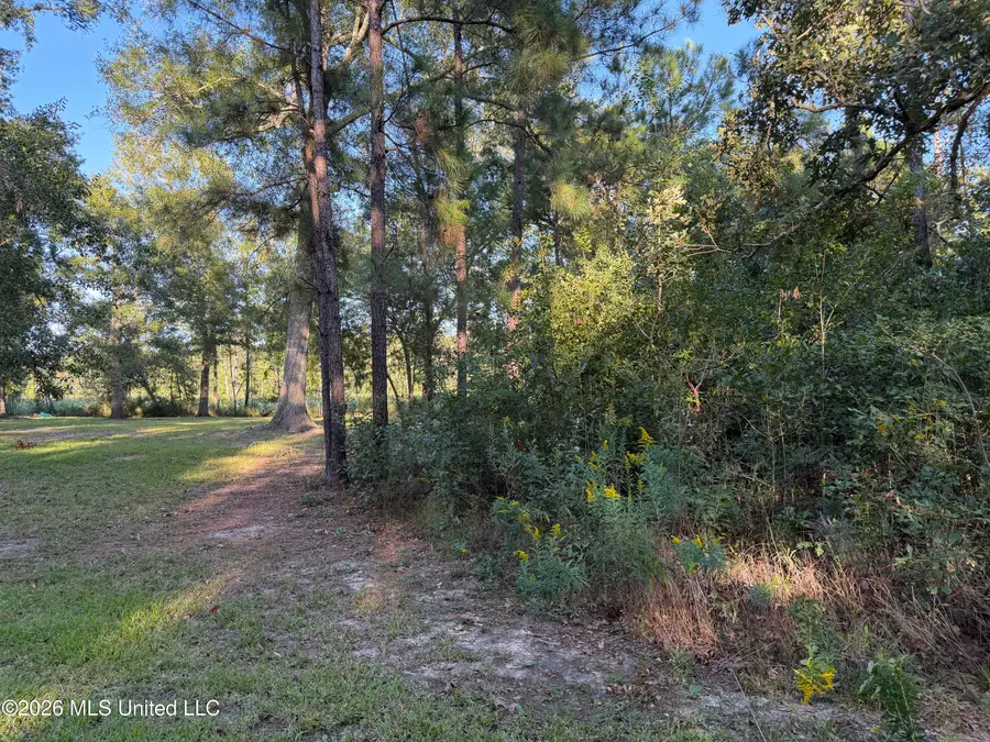 7078 Road 132, Bay Saint Louis, MS 39520 - #3