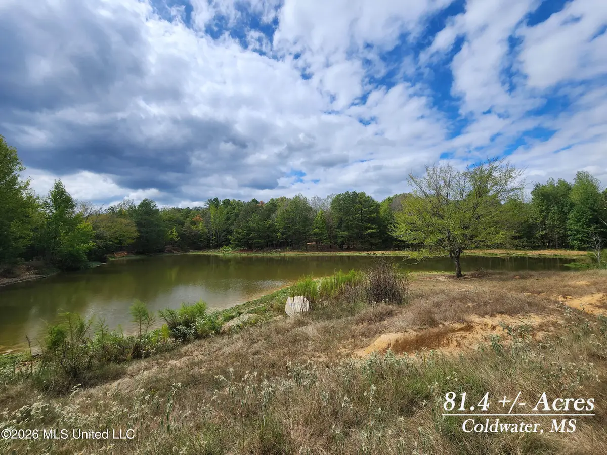 81.4 Rowell Road, Coldwater, MS 38618 - #1