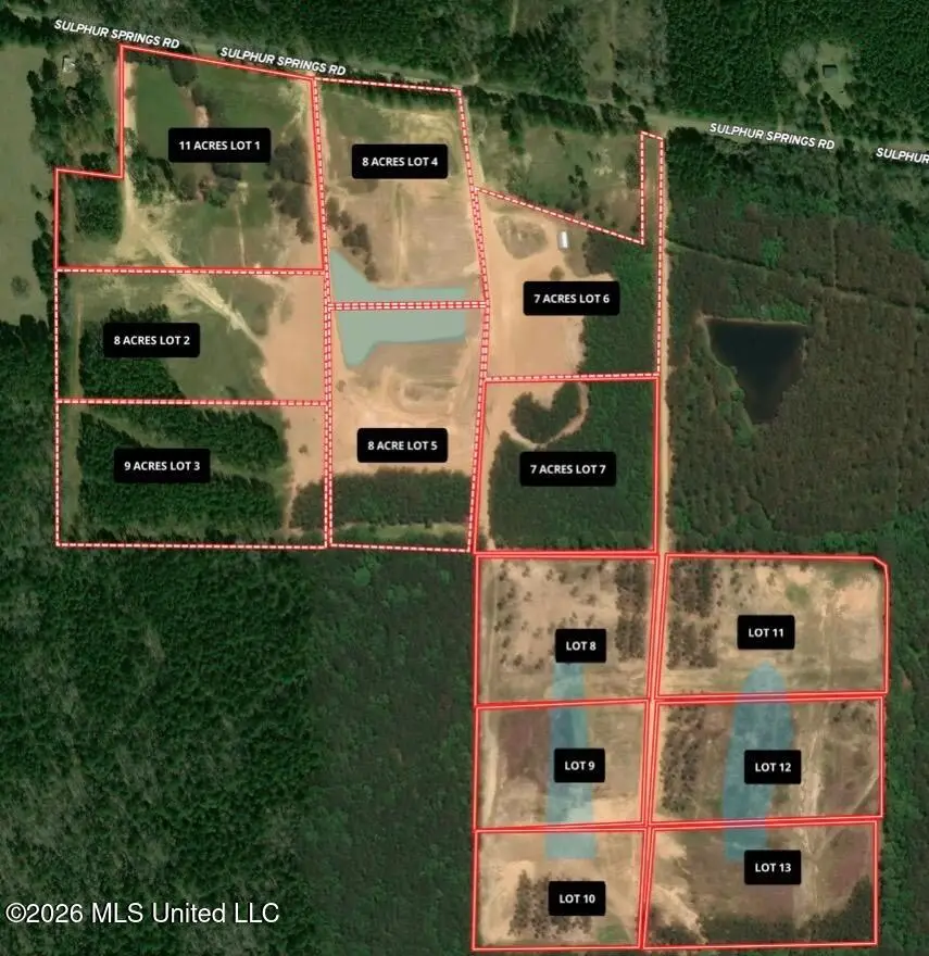 Lot 10 Sulphur Springs Road, Canton, MS 39046 - #2