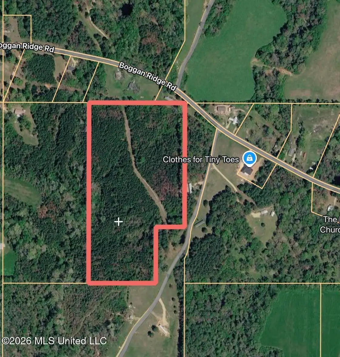 Boggan Ridge Road, Mendenhall, MS 39114 - #1