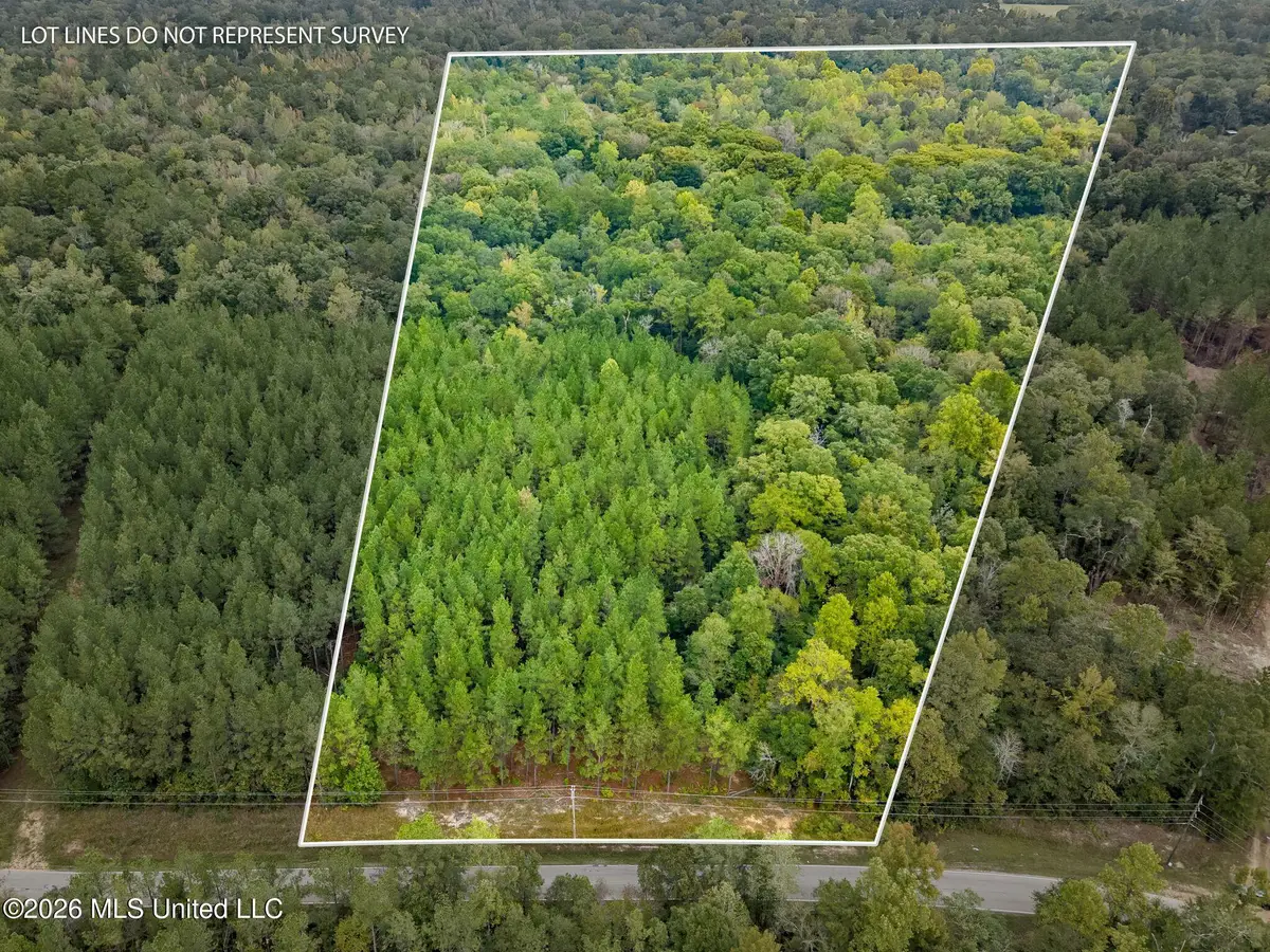 13 Acres Lott Town, Hattiesburg, MS 39402 - #1