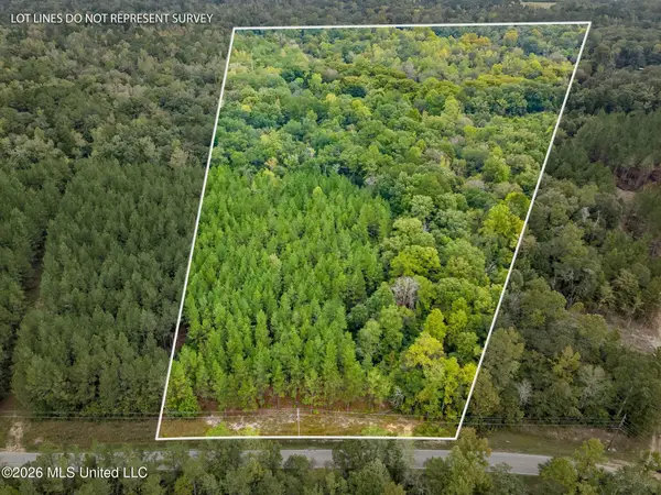 13 Acres Lott Town, Hattiesburg, MS 39402