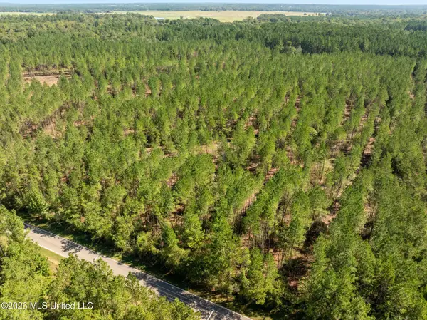 19 Acres Lott Town Road, Hattiesburg, MS 39402