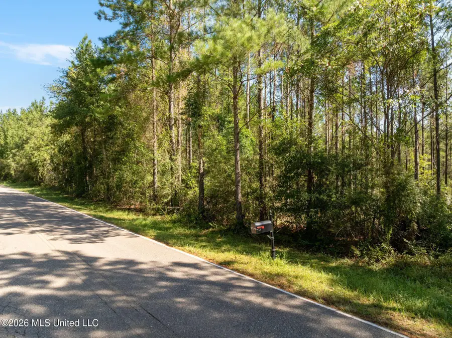 19 Acres Lott Town Road, Hattiesburg, MS 39402 - #2