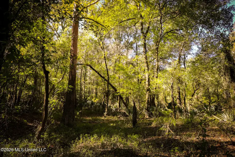 Sugar Farm Road, Hazlehurst, MS 39083 - #3
