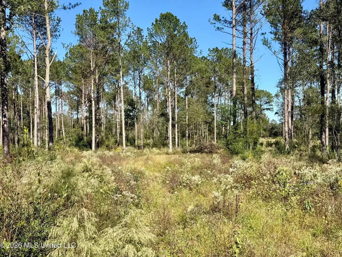 Rutland Road, Jayess, MS 39641 - #1
