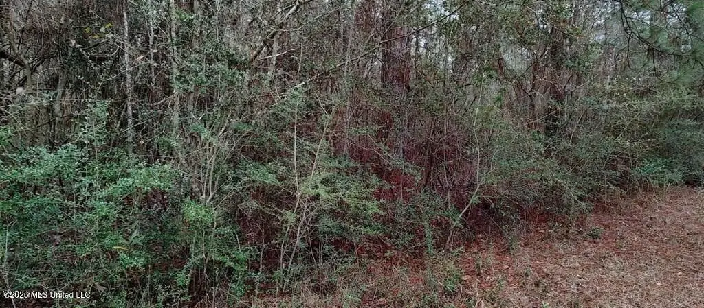 Laura St Street, Lumberton, MS 39455 - #1