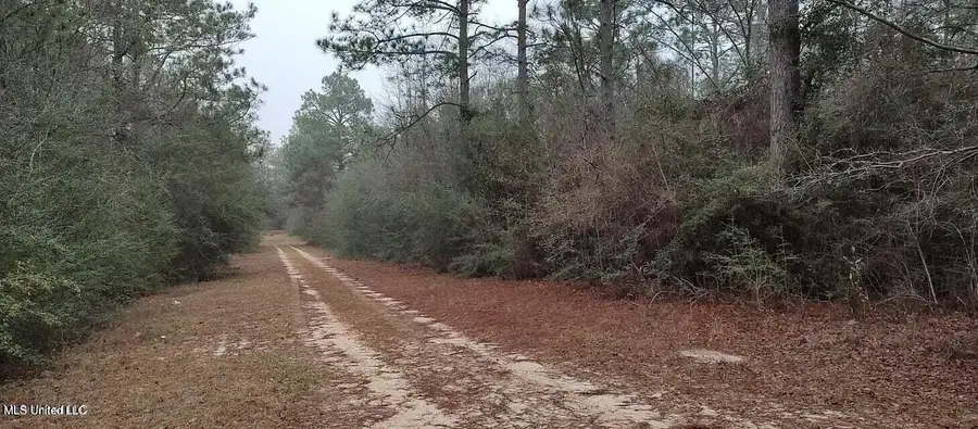 Laura St Street, Lumberton, MS 39455 - #3