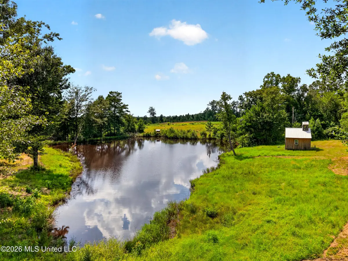 40 Acres Slade Woodward Road, Poplarville, MS 39470 - #1