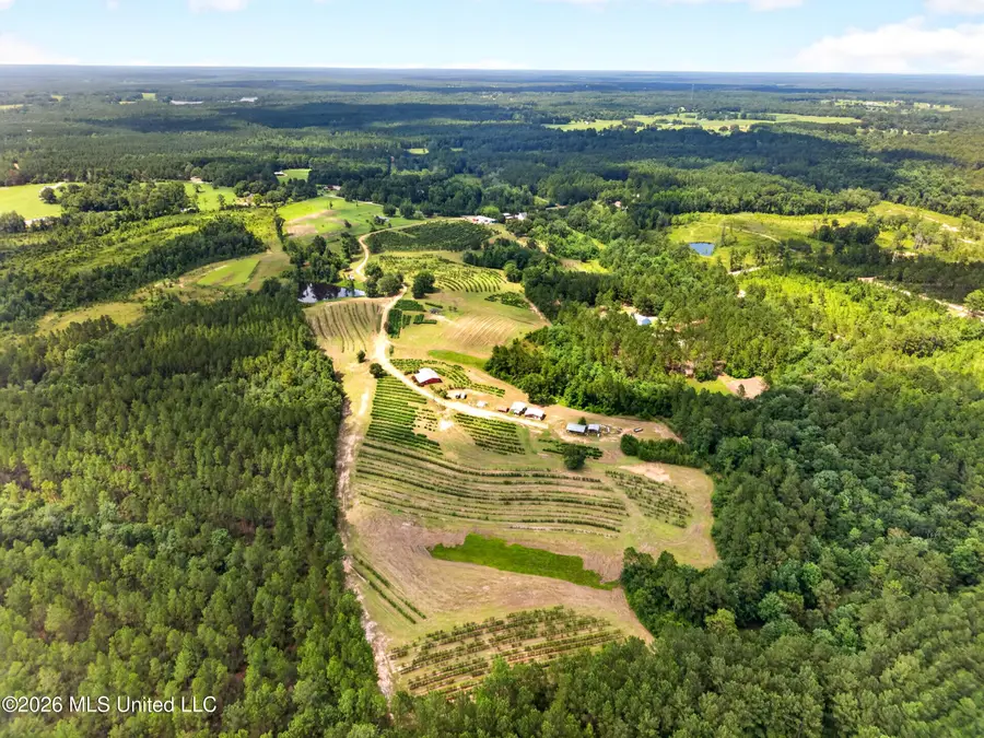 40 Acres Slade Woodward Road, Poplarville, MS 39470 - #3