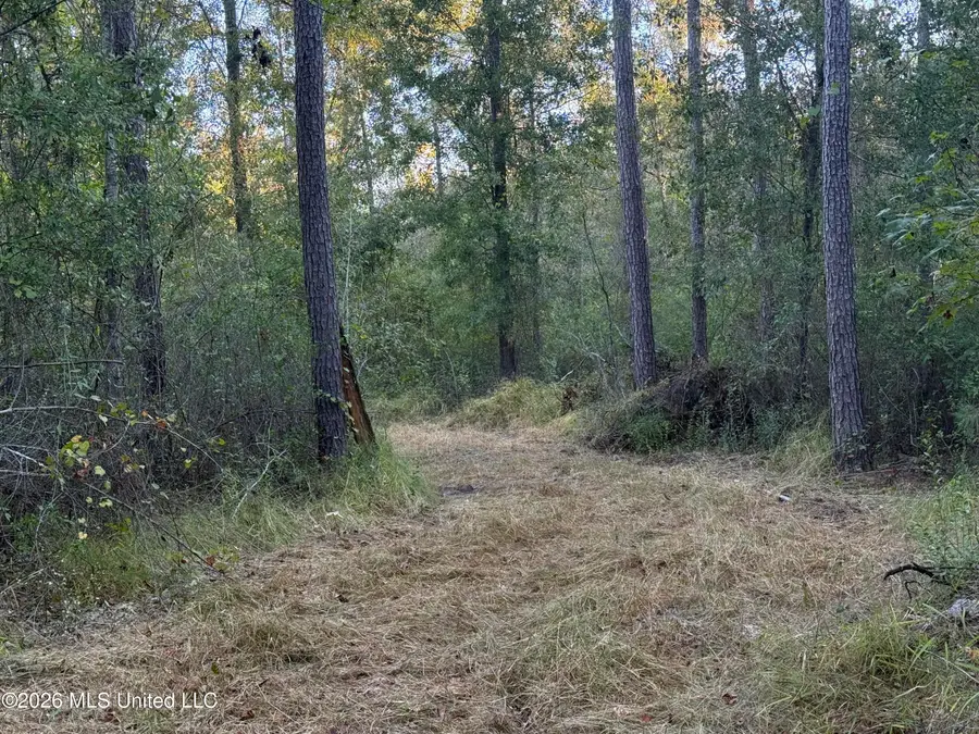 Lot 3 Big Point Road, Moss Point, MS 39562 - #2
