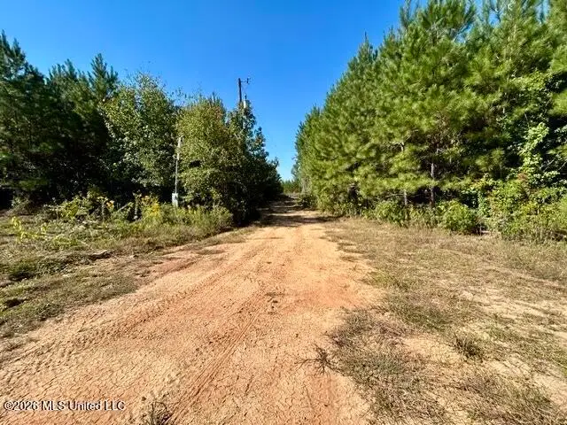 2788 County Farm Rd A D, Liberty, MS 39645 - #3