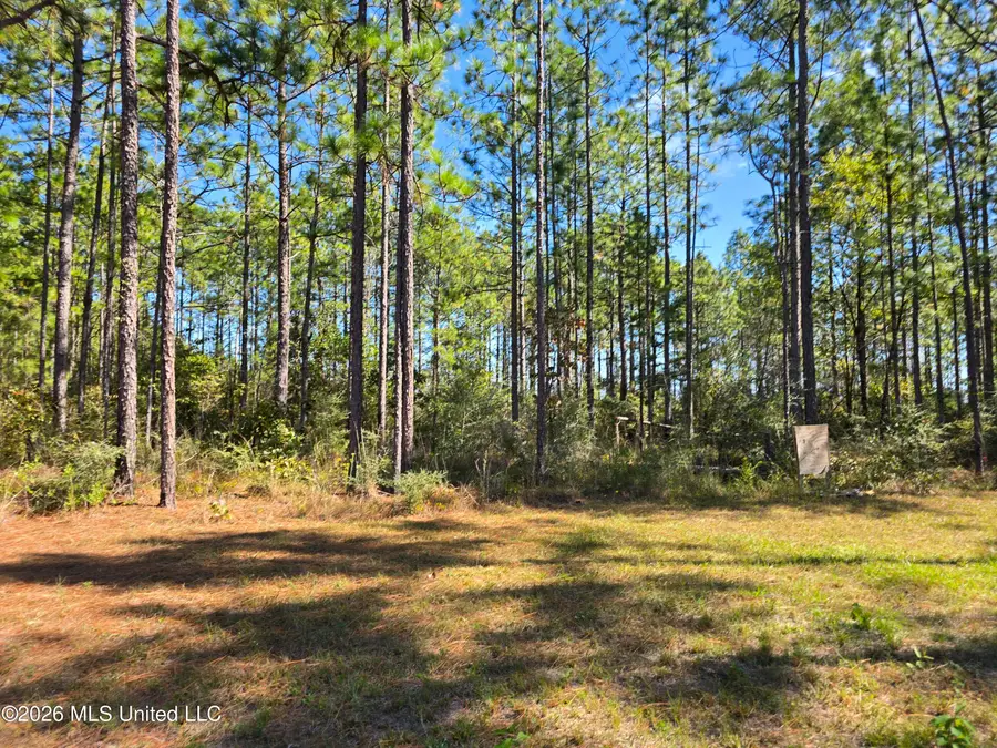1 Old Hwy 49, Saucier, MS 39574 - #3