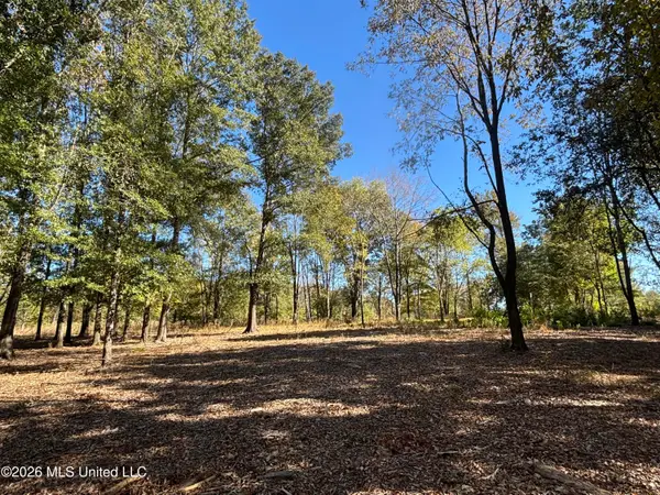 Rolling Meadows, Ridgeland, MS 39157
