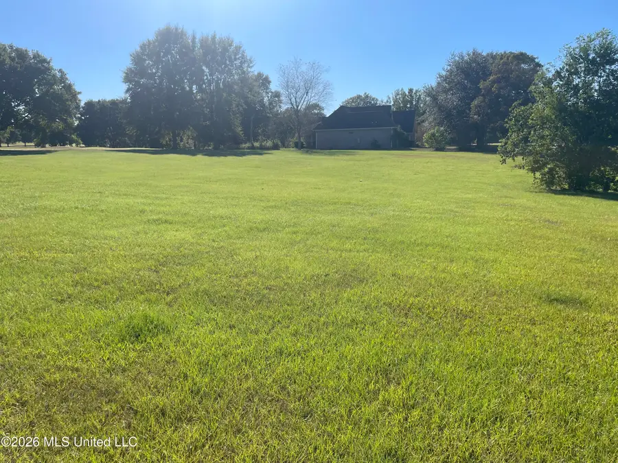 Oakhill Boulevard, Collins, MS 39428 - #2