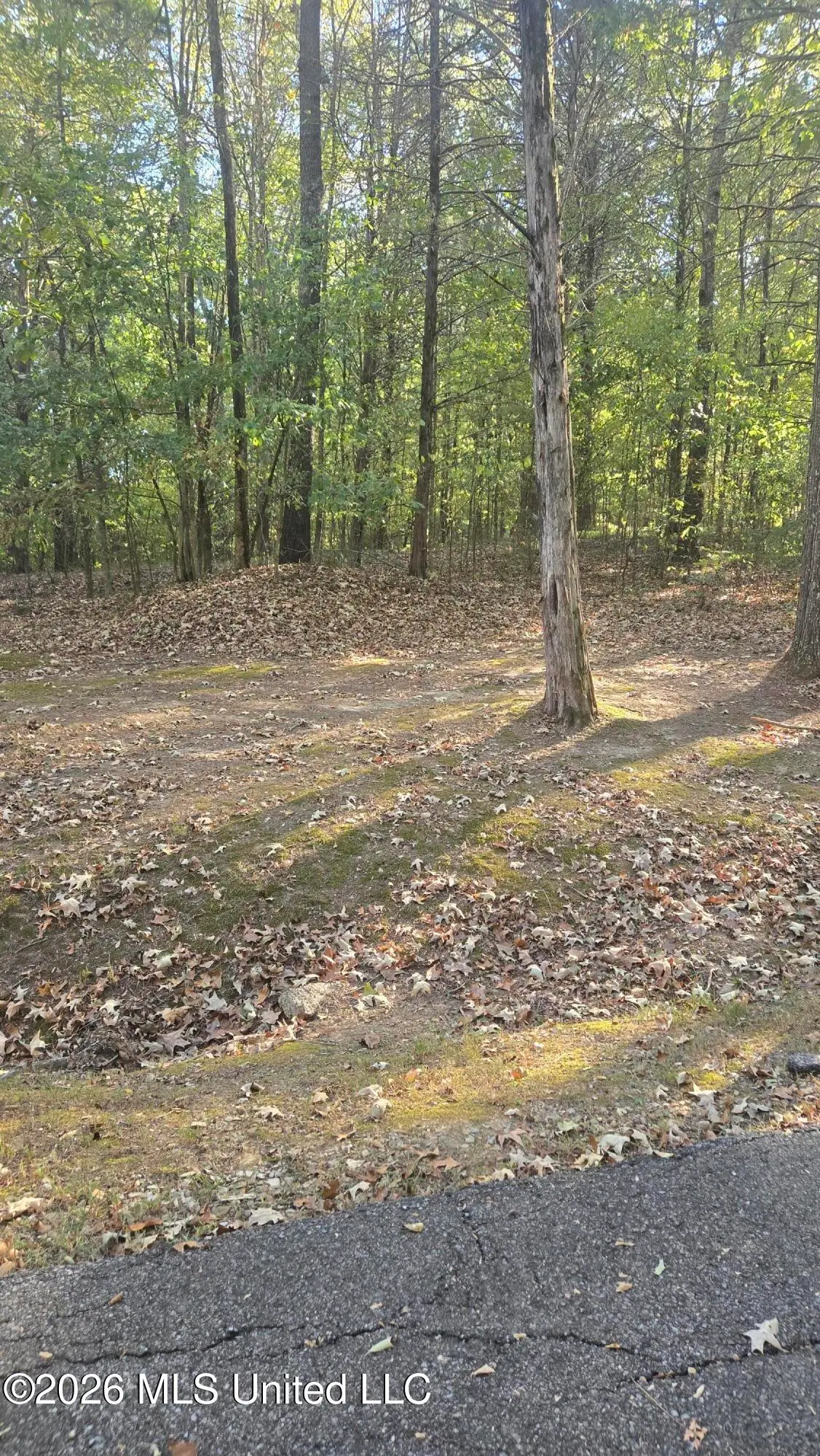 0 Farley Road, Byhalia, MS 38611 - #1