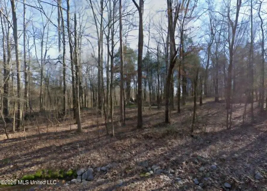 0 Farley Road, Byhalia, MS 38611 - #2