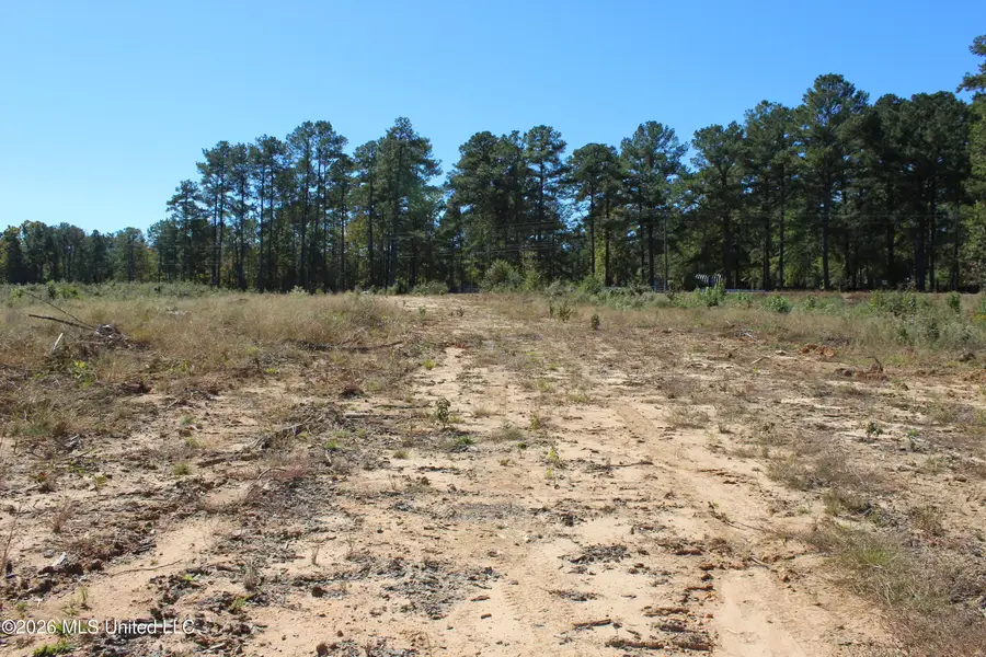S Highway 51 Highway, Brookhaven, MS 39601 - #3