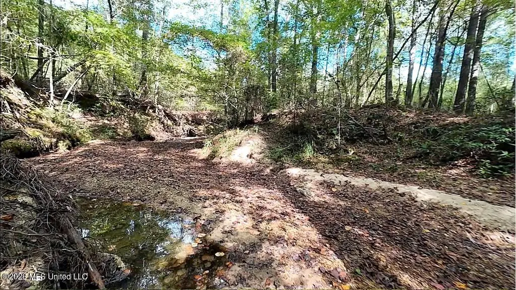 0 U.s. 84, Monticello, MS 39654 - #1