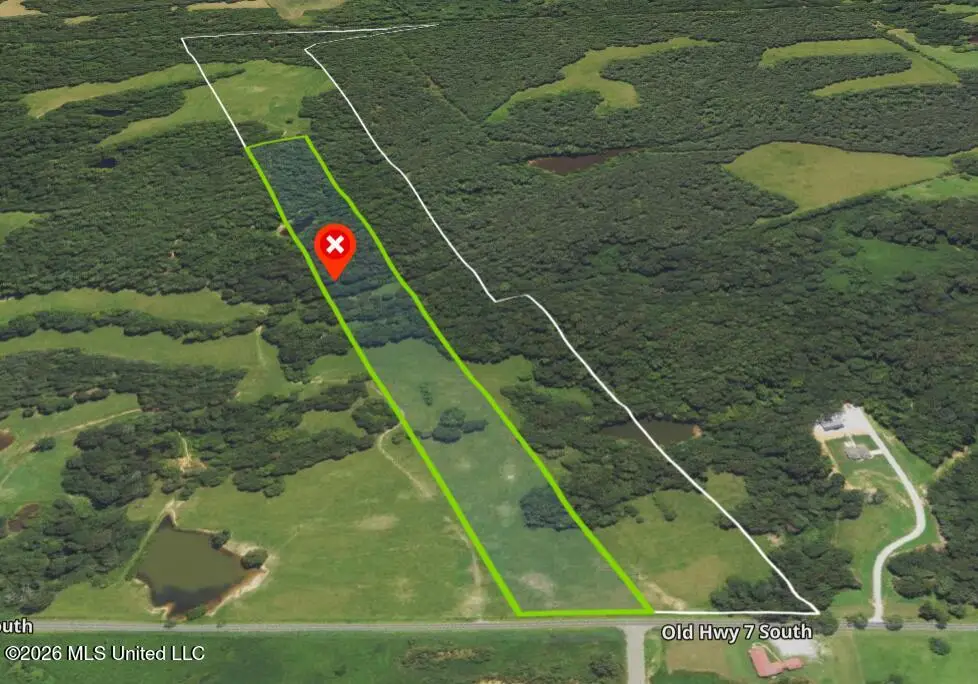 19.5 A Old Mississippi 7 S, Holly Springs, MS 38635 - #1