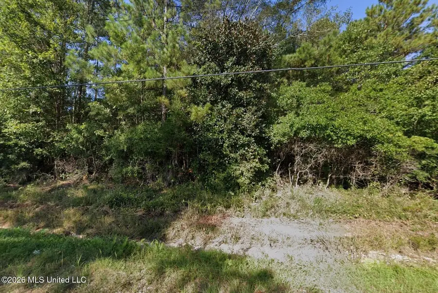 101 Shenandoah Road, Poplarville, MS 39470 - #2