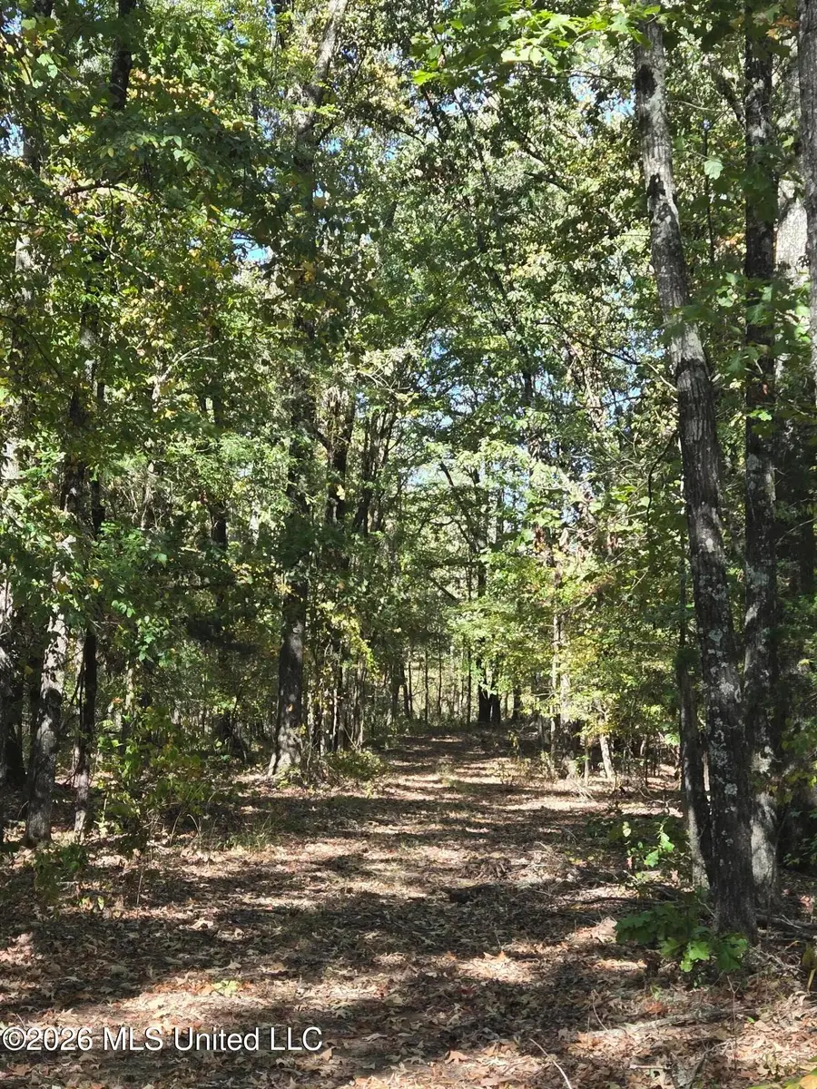 10177 Parks Place Road, Como, MS 38619 - #3