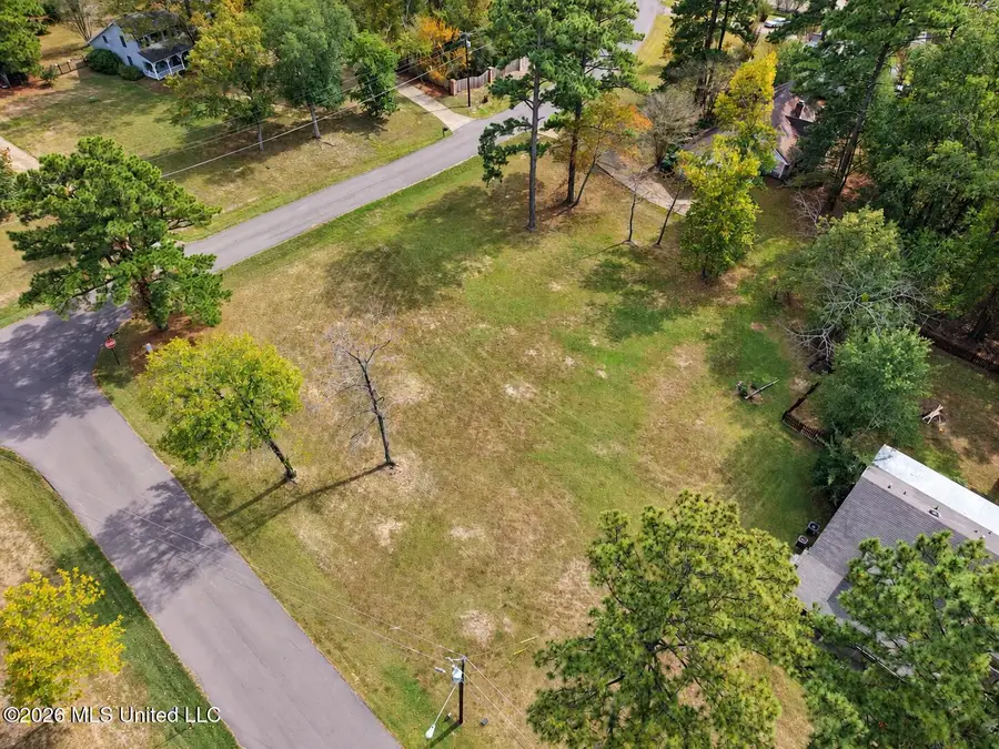 Mescalero Way, Madison, MS 39110 - #2