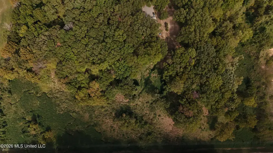 Bluff Road, Hernando, MS 38632 - #3