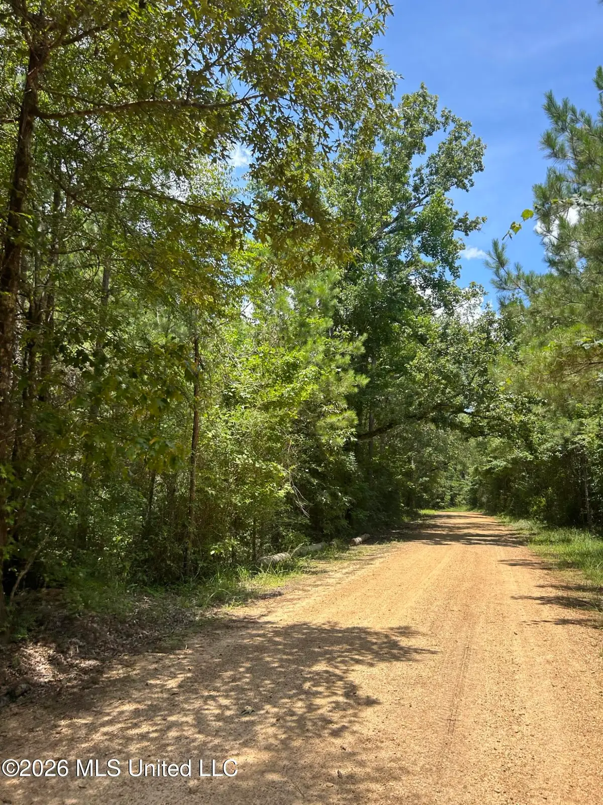 SW Tiger Trail, Brookhaven, MS 39601 - #1