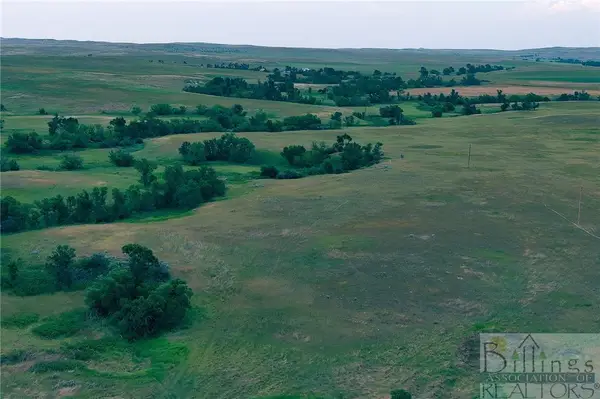"5736 +/- Acres" Nhn Straub Access Rd Plevna, Mt Road, Other, MT 59344