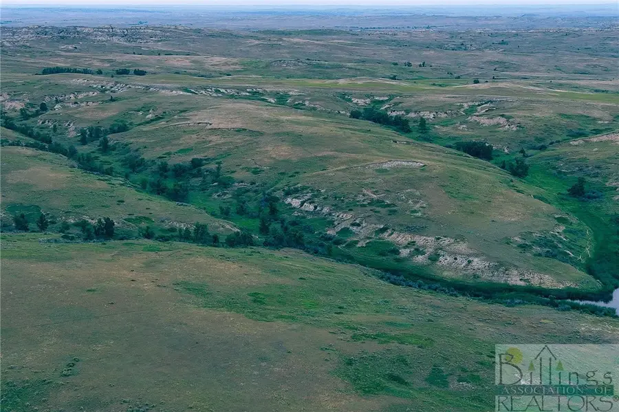 "5736 +/- Acres" Nhn Straub Access Rd Plevna, Mt Road, Other, MT 59344 - #2