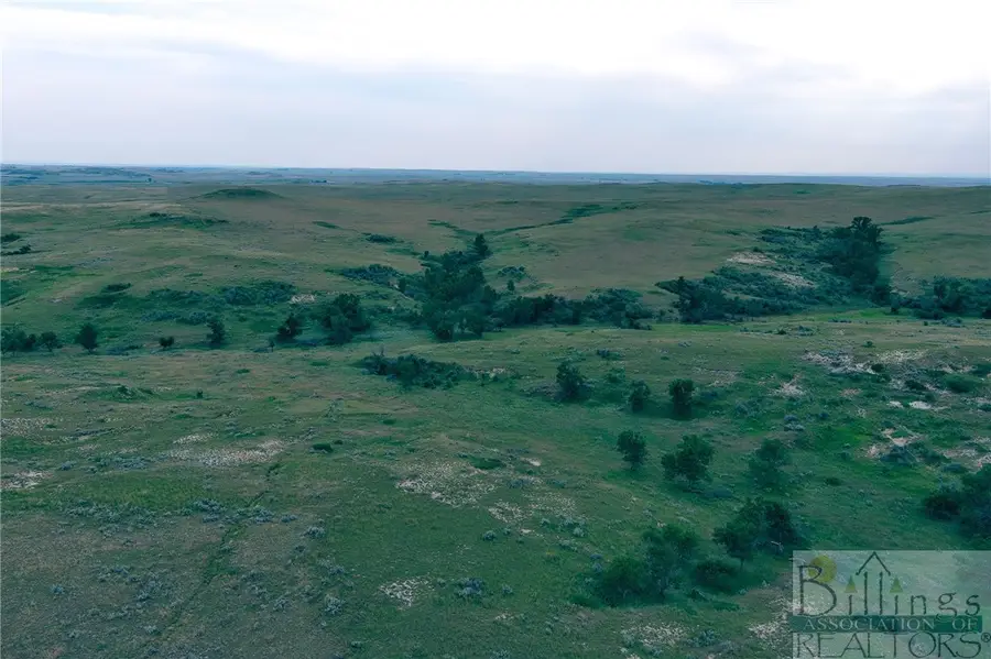 "5736 +/- Acres" Nhn Straub Access Rd Plevna, Mt Road, Other, MT 59344 - #3