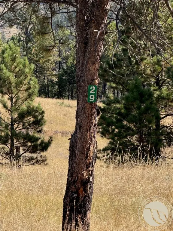 #3