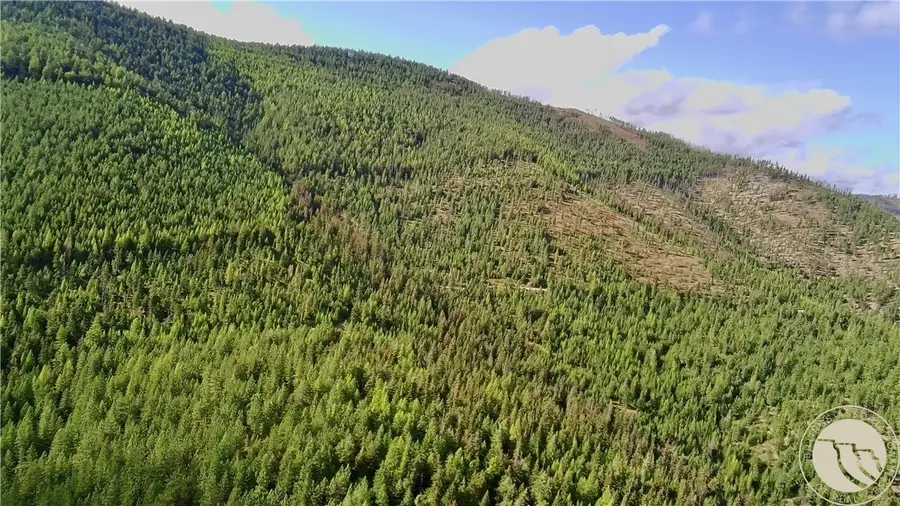 0 W Fork Combest Creek Road, Plains, MT 59859 - #2