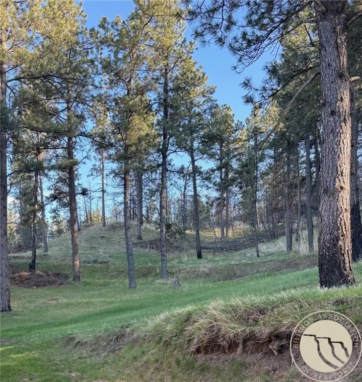 32 Spring Hollow Road, Roundup, MT 59072 - Image #2