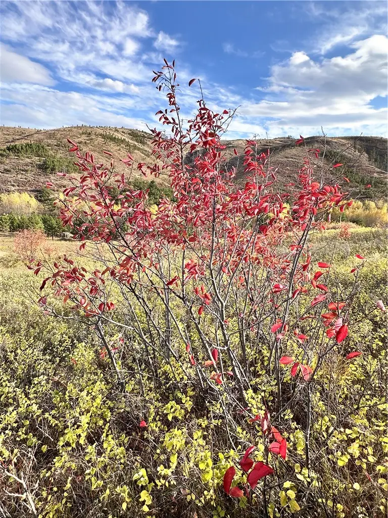 91 West Bridger Creek Rd, Reed Point, MT 59069 - Image #3