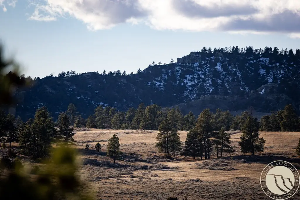 1234 Border Rd, Shepherd, MT 59079 - Image #1