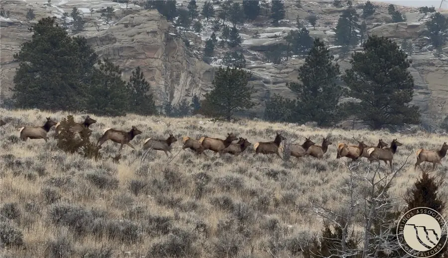 1234 Border Rd, Shepherd, MT 59079 - Image #2