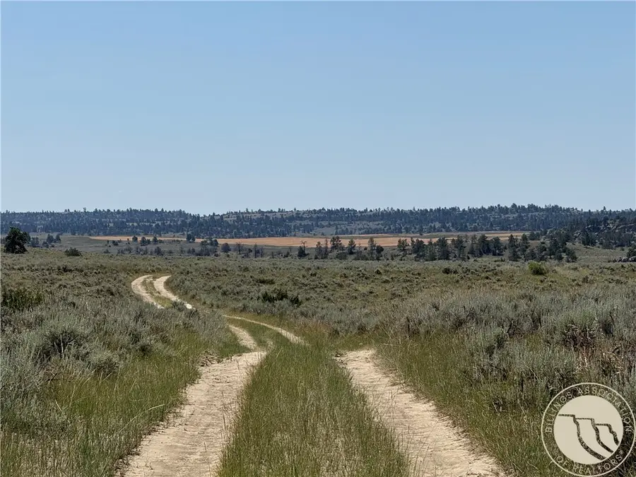 1234 Border Rd, Shepherd, MT 59079 - Image #3
